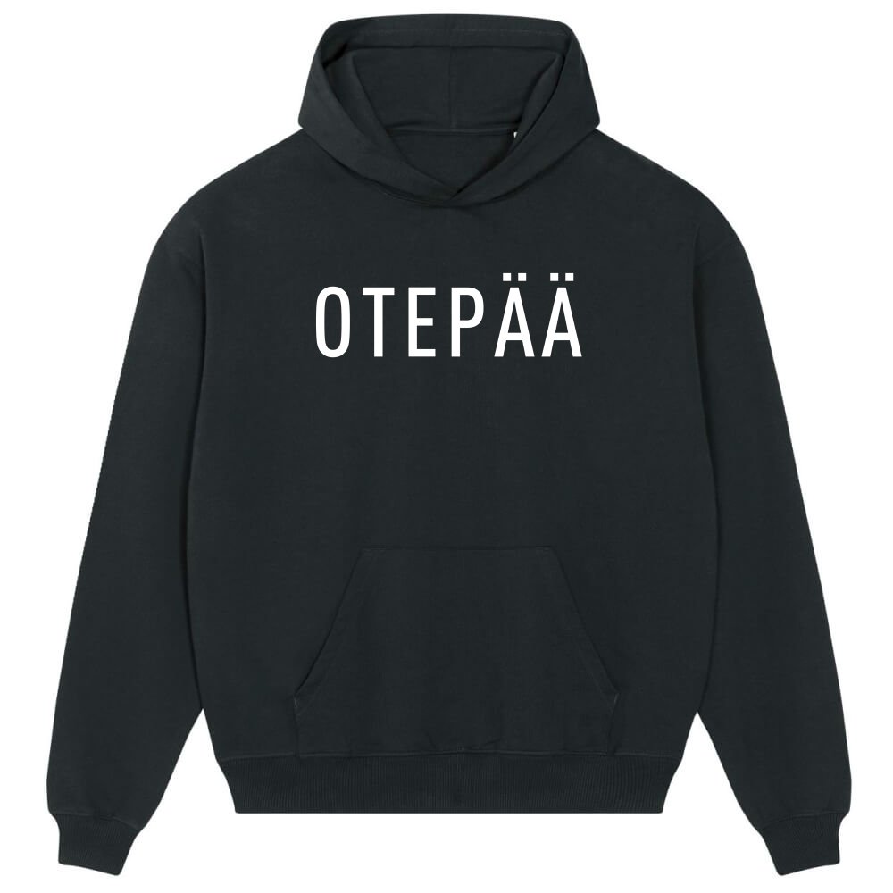 Kapuutsiga pusa Otepää