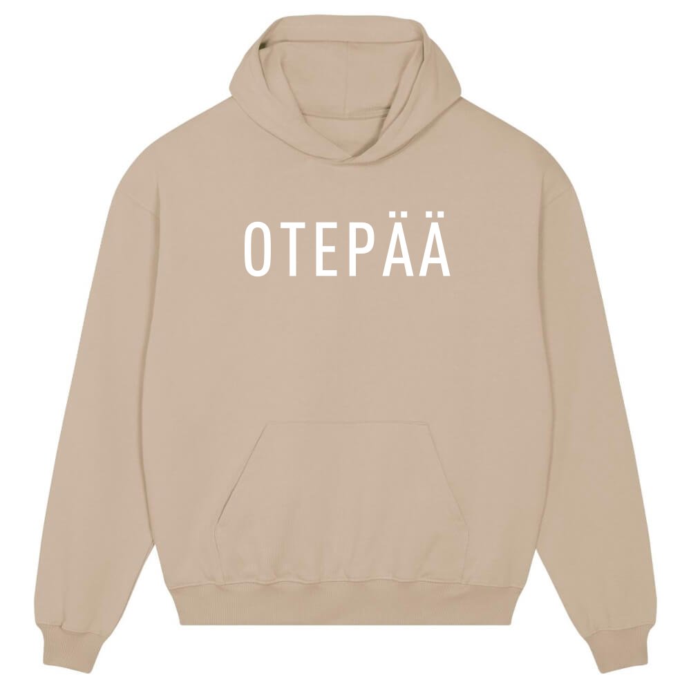 Kapuutsiga pusa Otepää